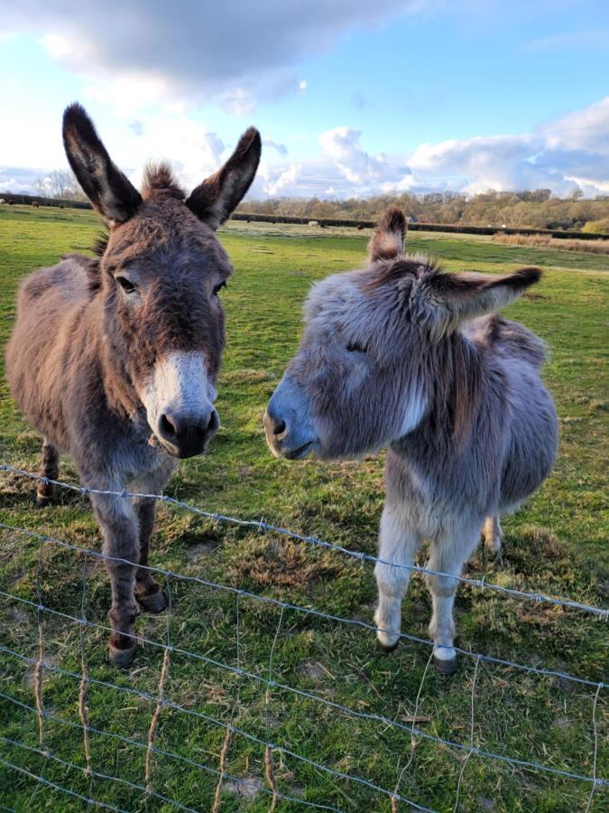 Hideaway Escapes, Farmhouse B&B & Holiday Home, Ideal Family Stay Or Romantic Break, Friendly Animals On Our Smallholding In Beautiful Pembrokeshire Setting Close To Narberth Extérieur photo