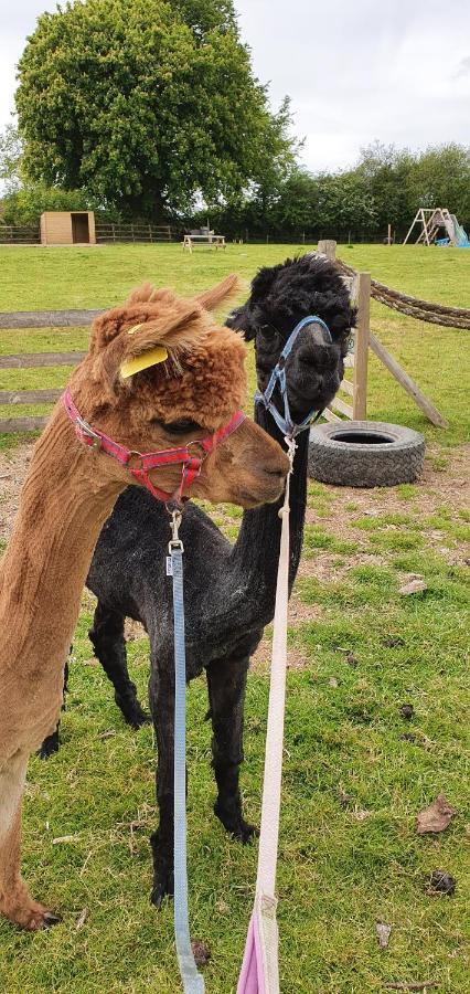 Hideaway Escapes, Farmhouse B&B & Holiday Home, Ideal Family Stay Or Romantic Break, Friendly Animals On Our Smallholding In Beautiful Pembrokeshire Setting Close To Narberth Extérieur photo